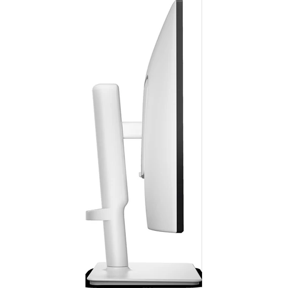 DELL 24 Plus Monitor 23,8