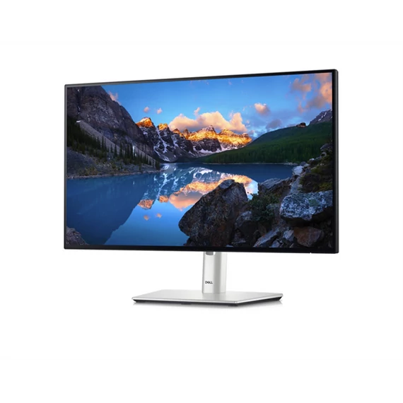 DELL LCD Monitor 23,8