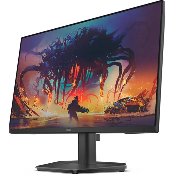 DELL LCD Monitor 24