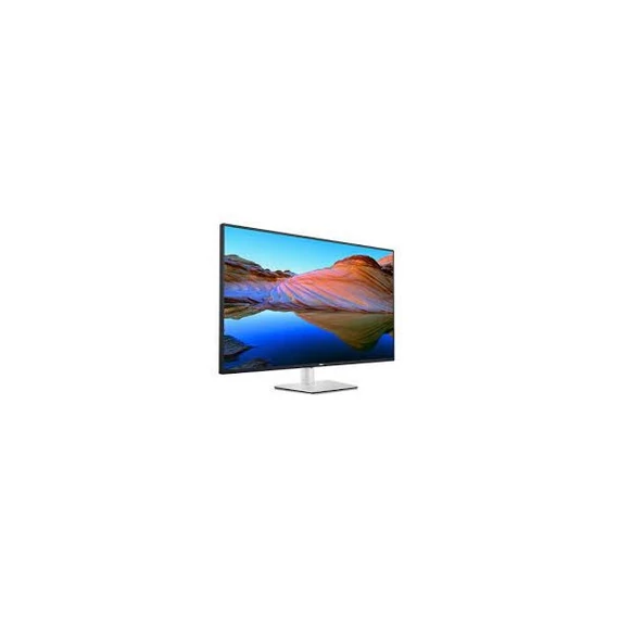 DELL LED IPS Monitor 43