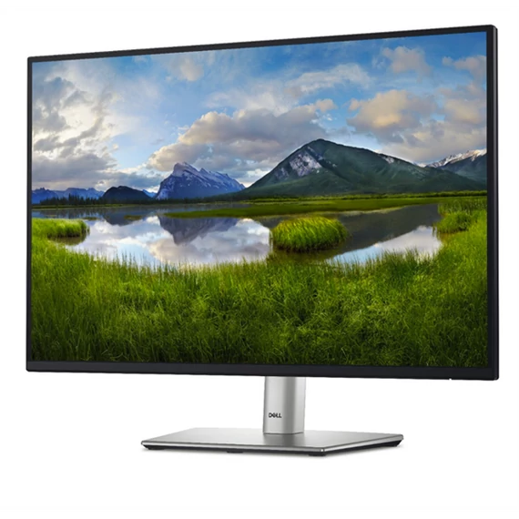 DELL Pro 24 Plus IPS Monitor 24
