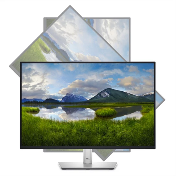 DELL Pro 24 Plus IPS Monitor 24