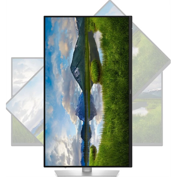DELL Pro 24 Plus Monitor 23,8