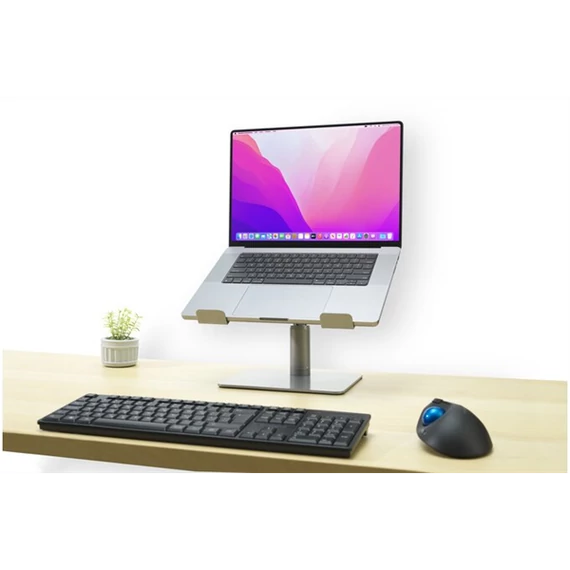 KENSINGTON Notebook állvány, univerzális (Universal Tabletop Laptop Riser), szürke