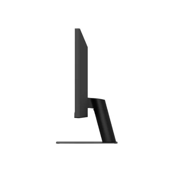 LG monitor 29
