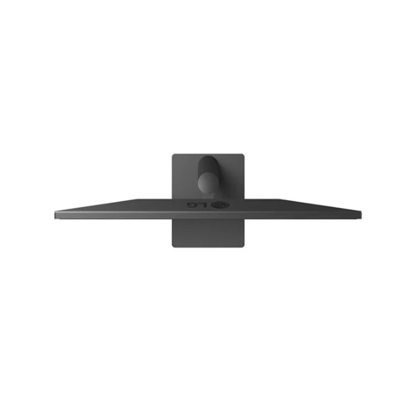 LG monitor 29