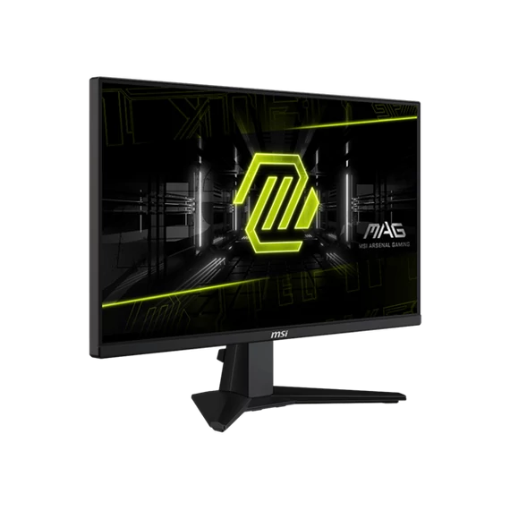 MSI Monitor GAMING MAG 255F E20 24,5