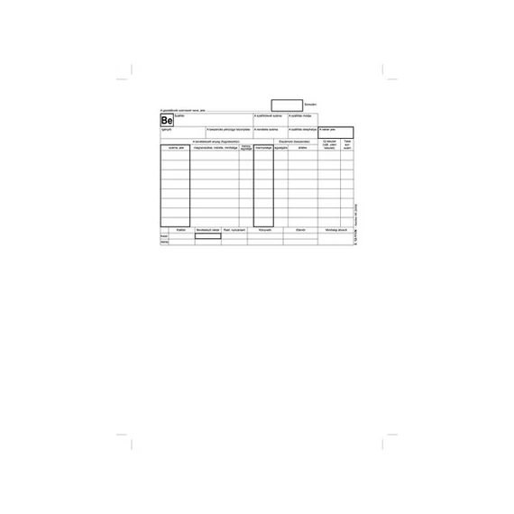 VICTORIA Nyomtatvány, készletbevételezési bizonylat, 25x4, A5, VICTORIA 