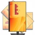 DELL Pro 22 Monitor 22