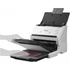 EPSON Docuscanner - WorkForce DS-530II (A4, 600 DPI, 35 lap/perc, USB, ADF, duplex)