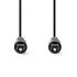 Nedis CAGL25000BK100 optikai audio kábel, TosLink dugó, hossz 10m