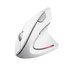Trust 25132 VERTO WIRELESS ERGO MOUSE WHT
