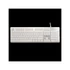 WHITE SHARK  TACHI-W/US WS GK-003241W-US vezetékes membrán gamer billentyűzet, 104 gomb fehér (angol)