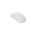 WHITE SHARK GRAPHENE-W, GM-5014W gamer egér,6D, fehér, 6200 dpi, RGB